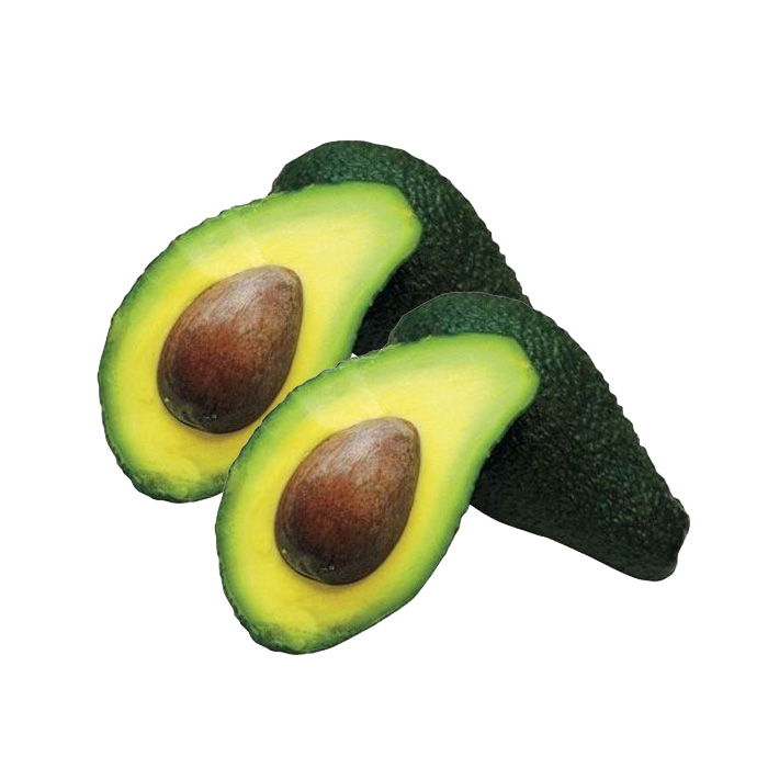 Avocado Essreif Avocado Essreif