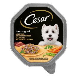 Cesar Hundenahrung Schale